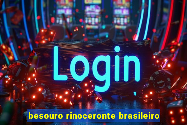 besouro rinoceronte brasileiro